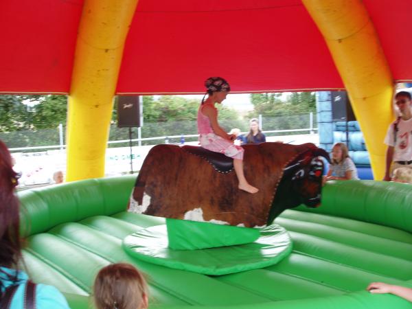 Bullriding / Rodeo Bulle / Bull-Riding