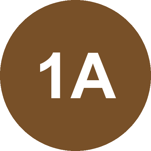 1a-autokaufen Logo