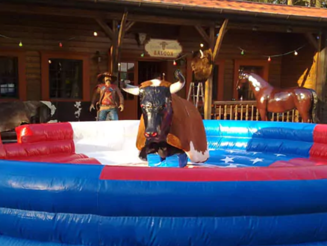Bullriding (elektrisch)