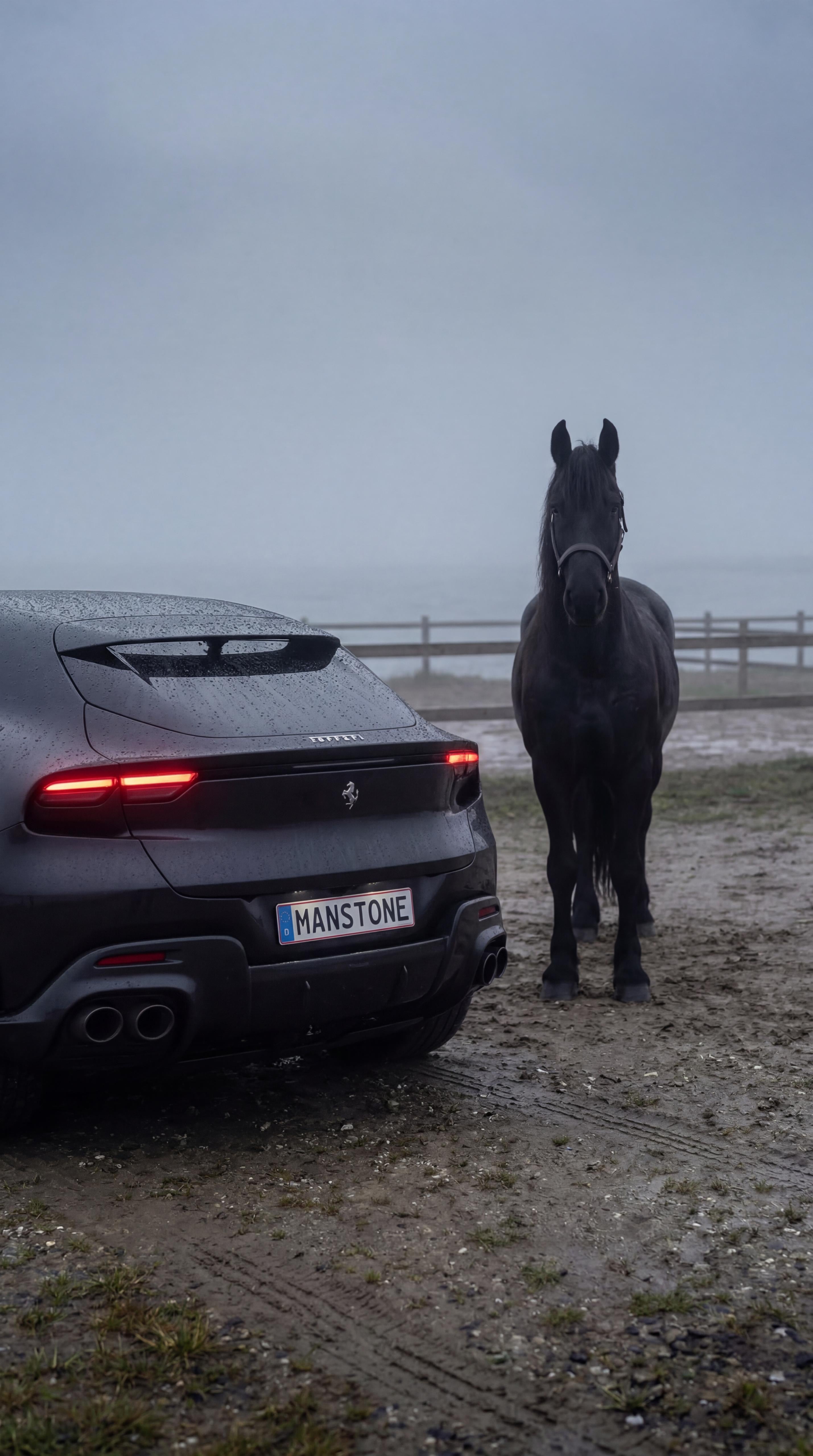 Ferrari Purosangue Mieten Sportwagen Mieten Berlin Autovermietung – 2