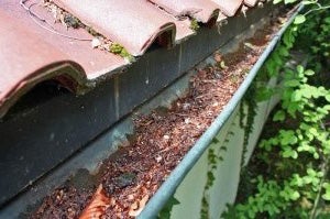 Dachrinnensauger Dachrinnenreinigung SKY VAC industrial 85 – 2