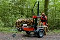 Holzspalter 16 t mit Benzinmotor auf Fahrgestell 80 km/h – 3