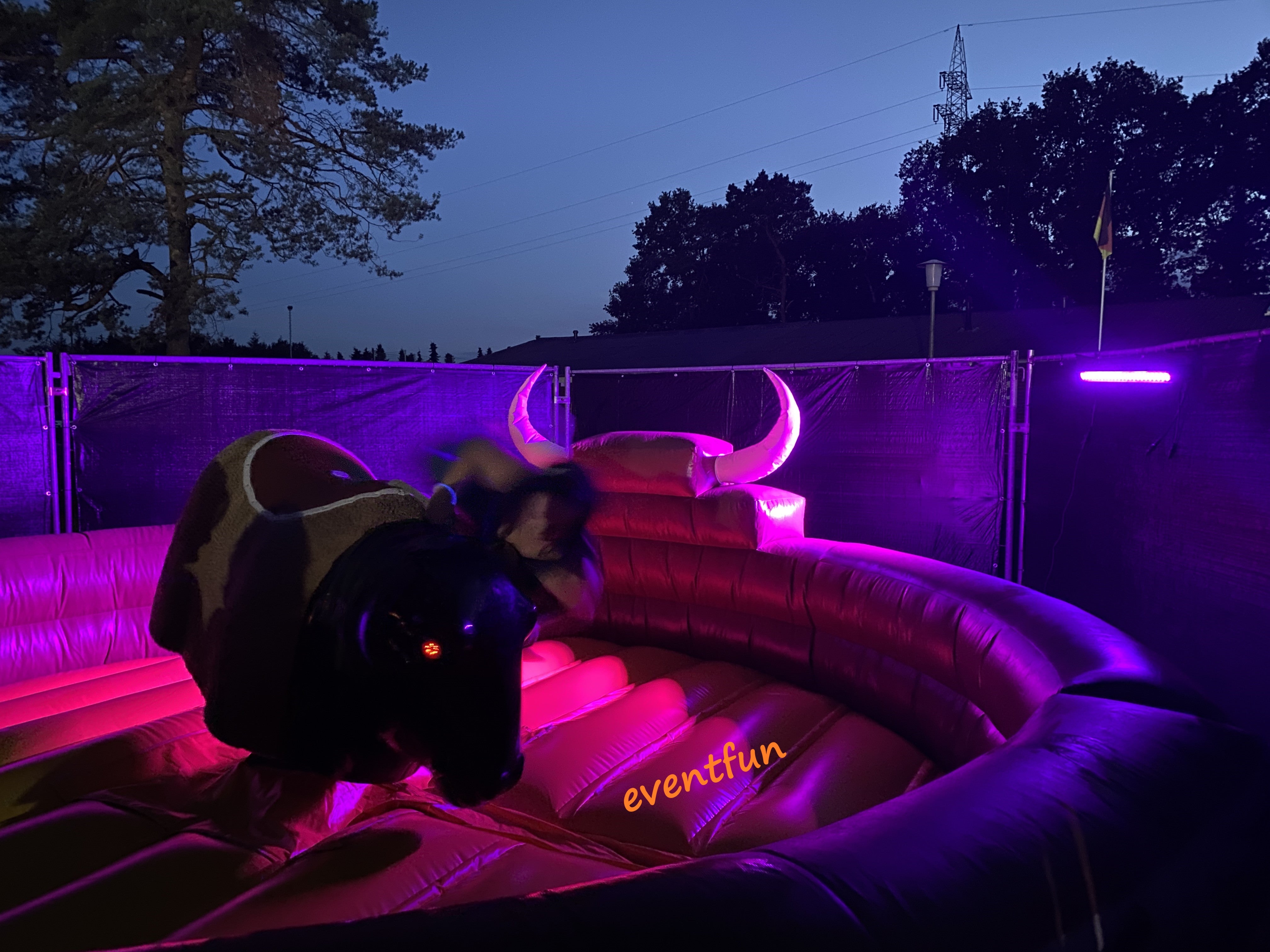 Bullriding, Bulle, Rodeo, Partyhighlight – 2