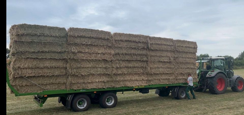 Strohwagen Ballenwagen Pronar T026M 18t 40km h mieten in Gelsenkirchen – 2