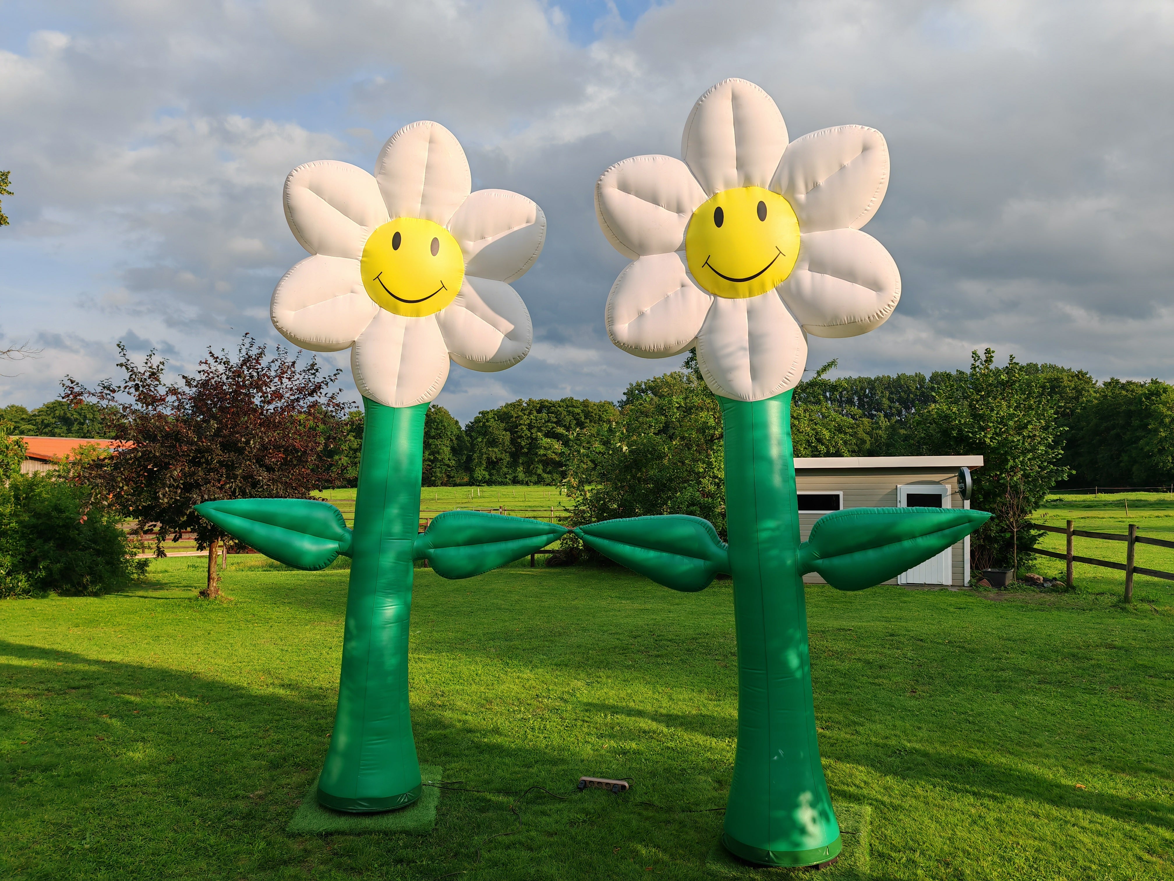Aufblasbare Blumen 4m hoch – 2