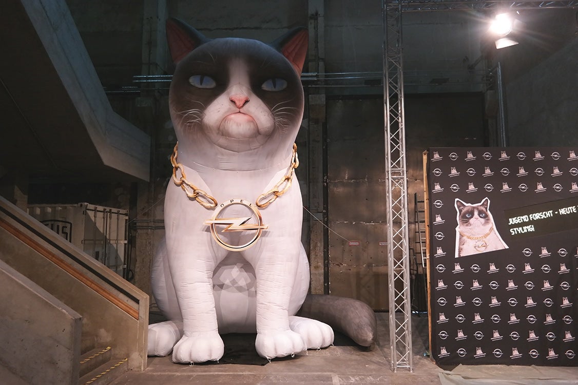 Aufblasbare Katze 6 Meter - Grumpy Cat – 2