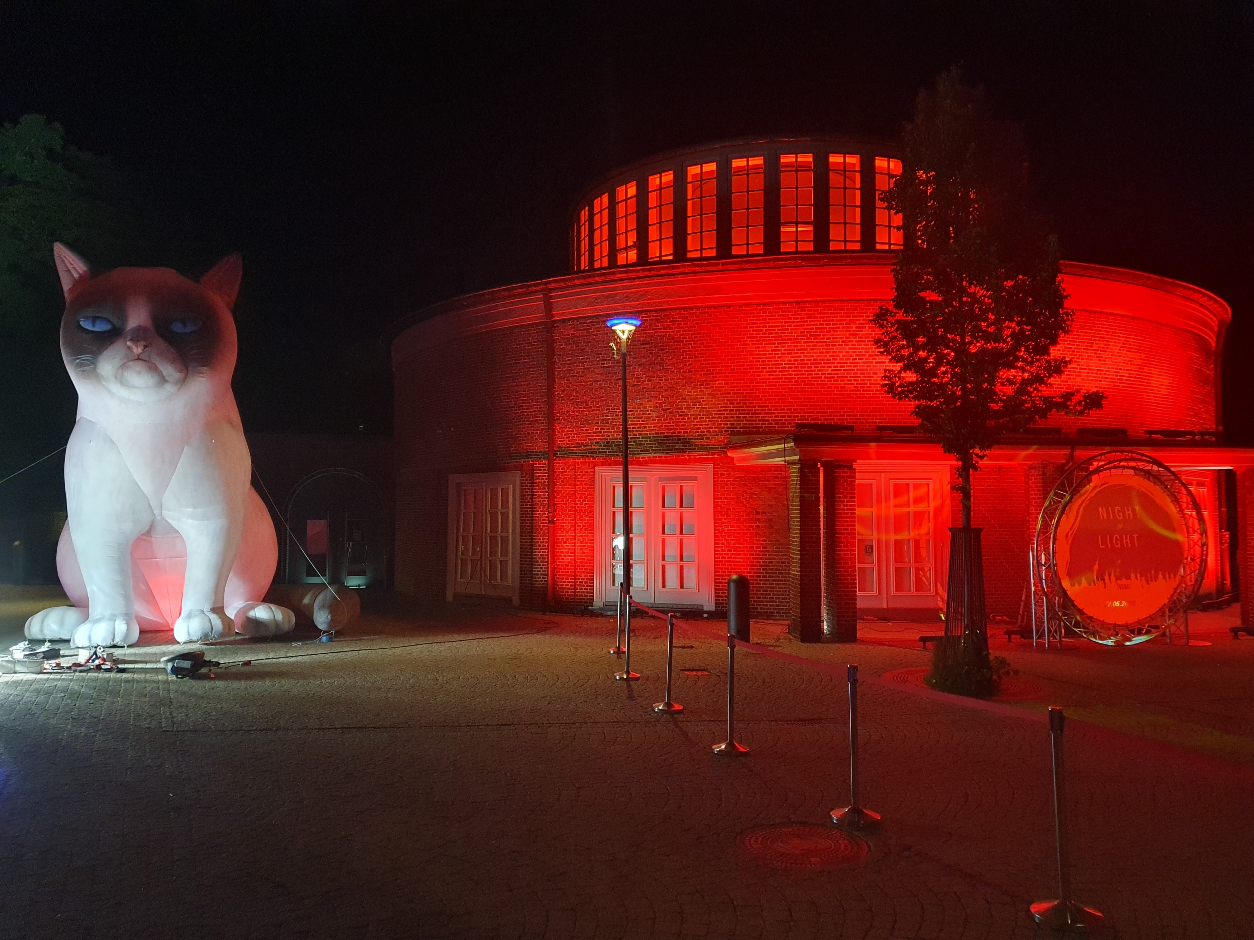 Aufblasbare Katze 6 Meter - Grumpy Cat – 3