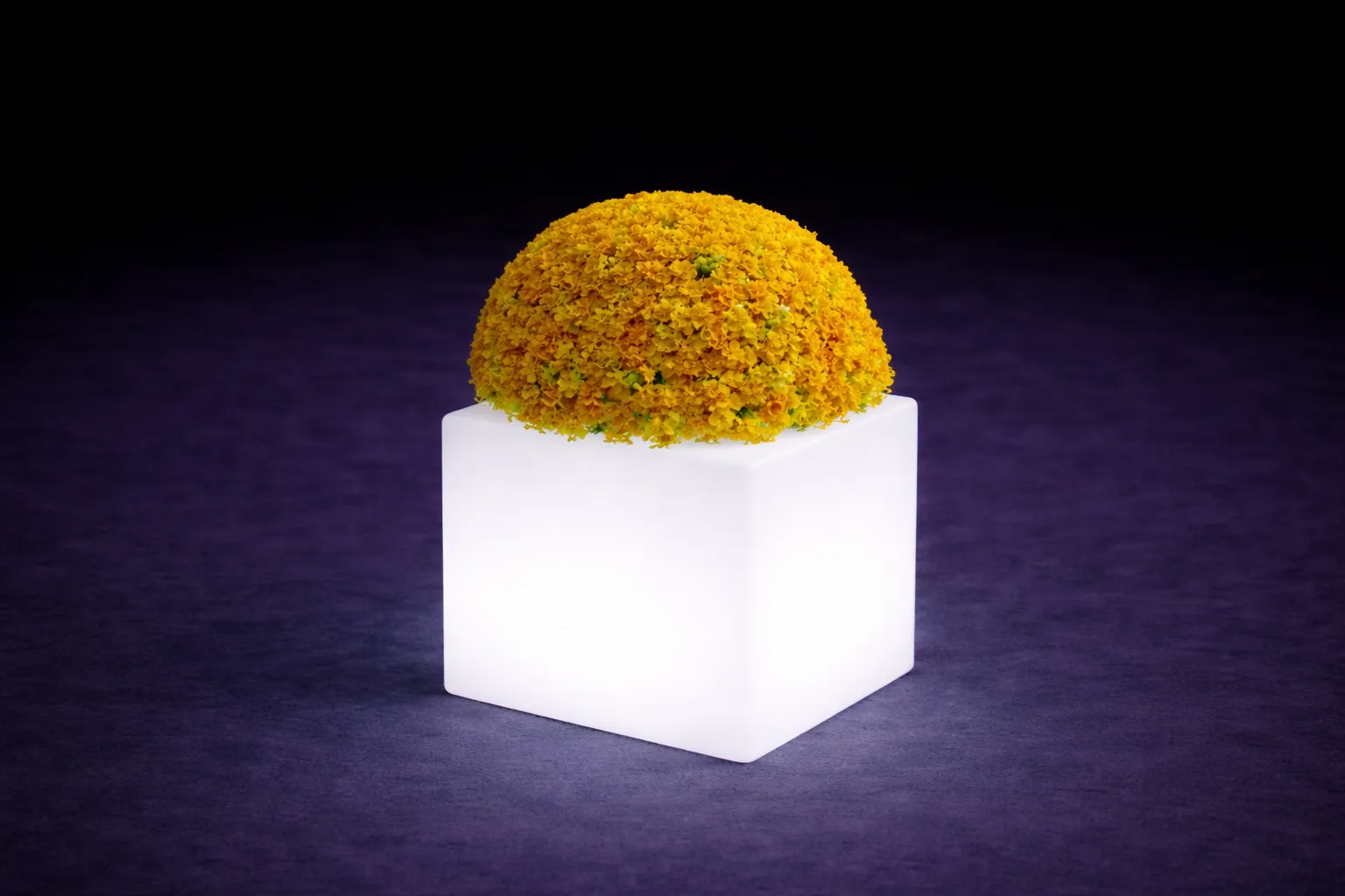 LED Blumentopf quadrat mieten – beleuchtetes Loungemöbel