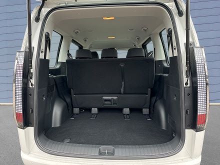 9-Sitzer div. Modelle Bsp. Hyundai Staria, MB Vito, VW T6 – 4