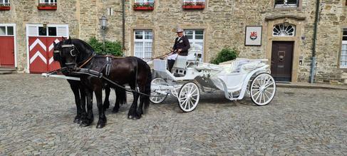 2-spännige Hochzeitskutsche – 4