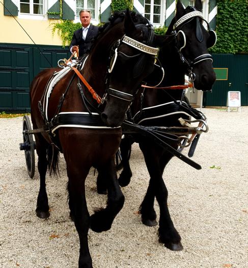2-spännige Hochzeitskutsche – 3