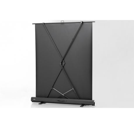 celexon Leinwand Ultramobil Plus Professional 215 x 240 cm – 2