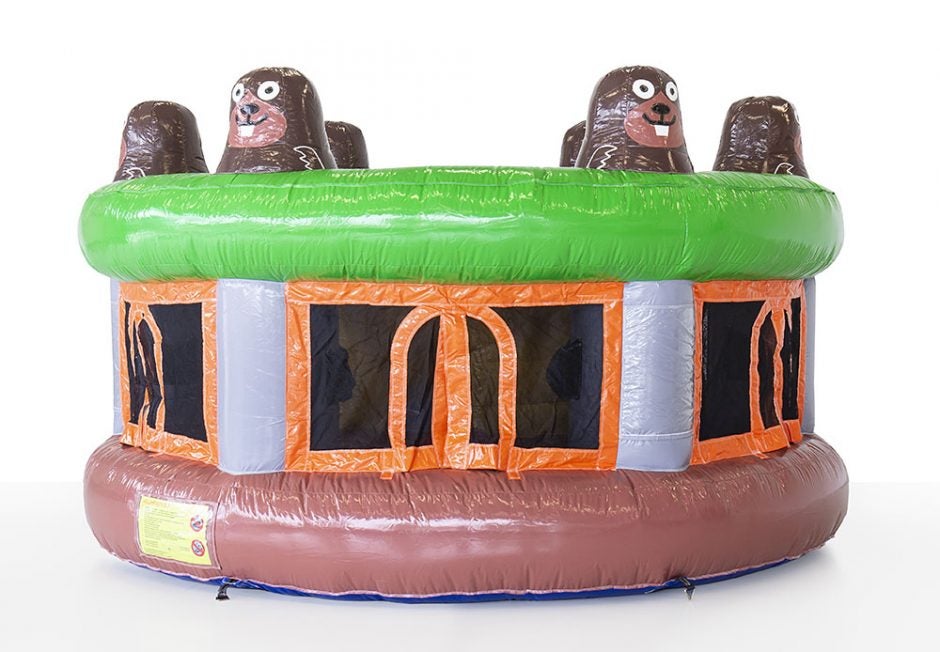 Whack a mole    Maulwurf Spiel – 2