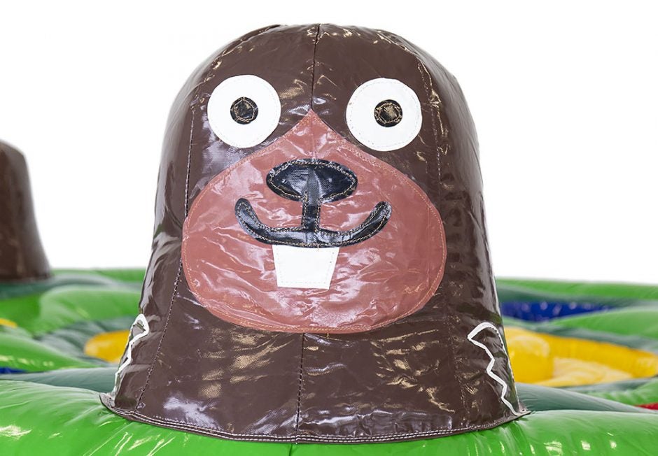 Whack a mole    Maulwurf Spiel – 4