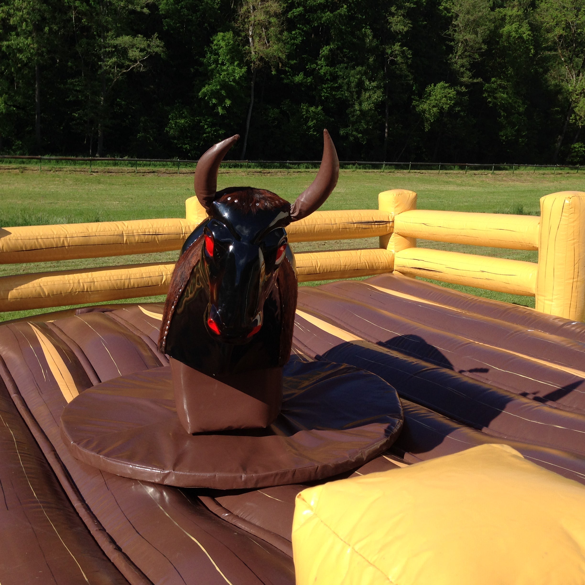 Bullriding - Rodeo - Bullridinganlage - Bullenreiten - Western Event mieten – 2