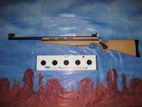 Laser-Gewehr Biathlon Schießstand