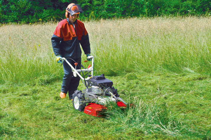 Wiesenmäher Benzin mieten