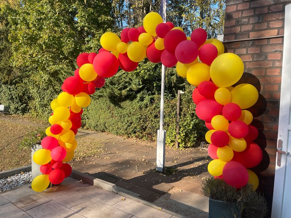 Ballonbogen mieten/Traubogen/Fotohintergrund – 2