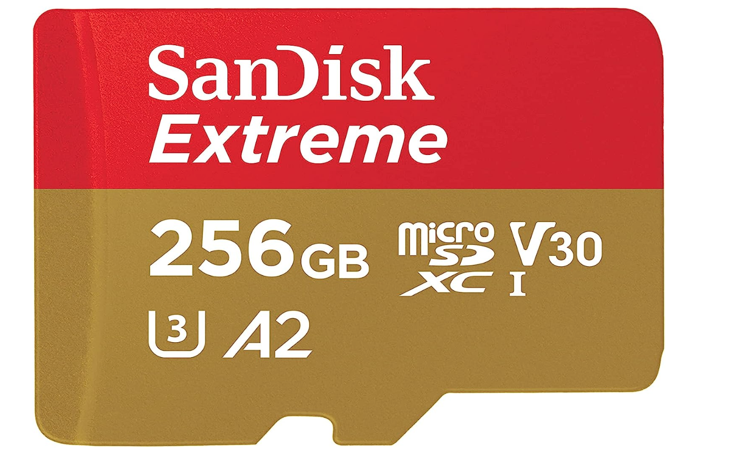 SanDisk MicroSDXC 256GB mieten