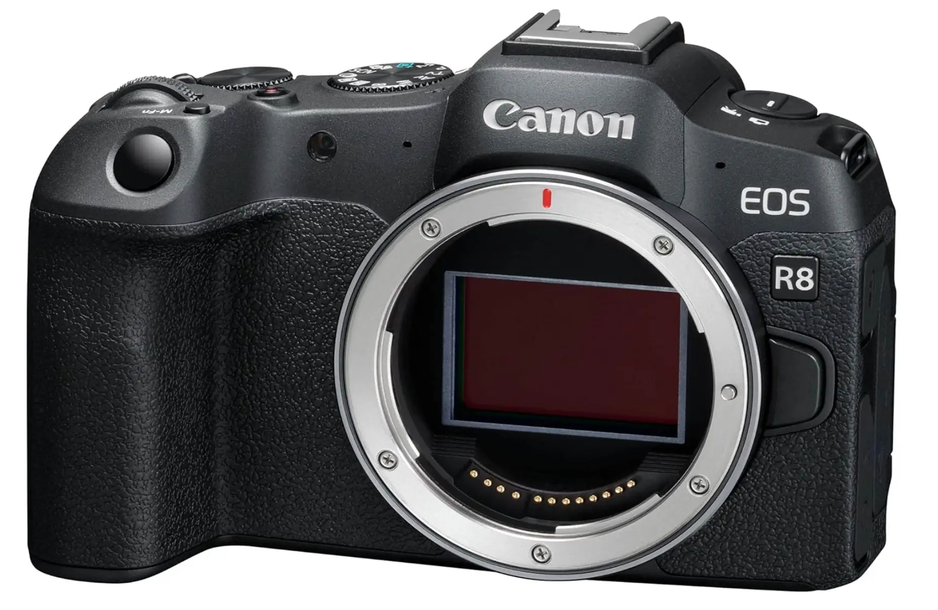 Canon EOS R8 mieten