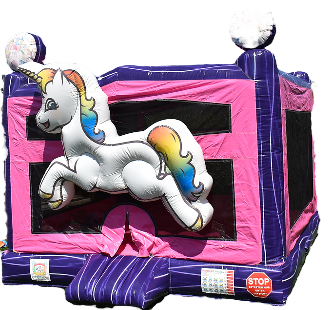 Unicorn Love mieten in Wien – 2
