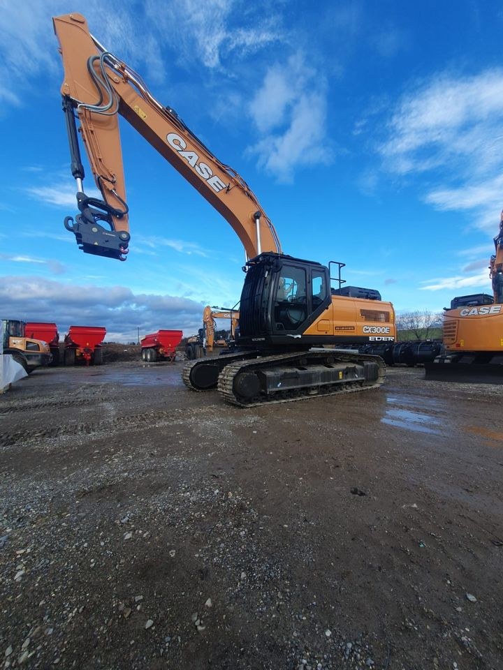 Case CX300E 30 Tonnen Kettenbagger zur mieten in Tuntenhausen – 2