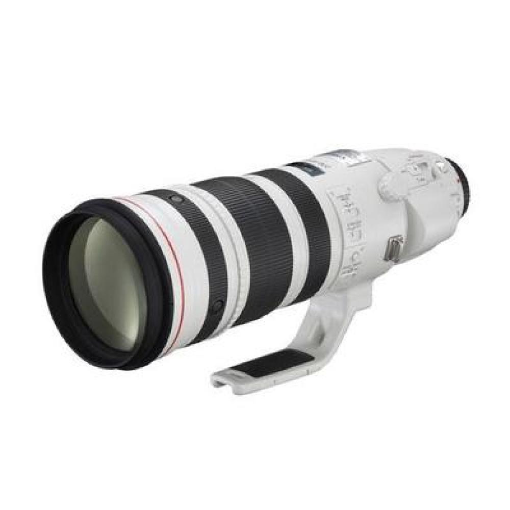 Canon EF 200-400mm F4L IS USM 1.4x Extender mieten – ab 90 € netto/Tag