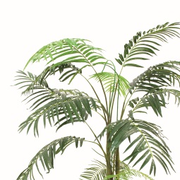 Kunstpflanze - Palme mieten in Reutlingen – 210 cm
