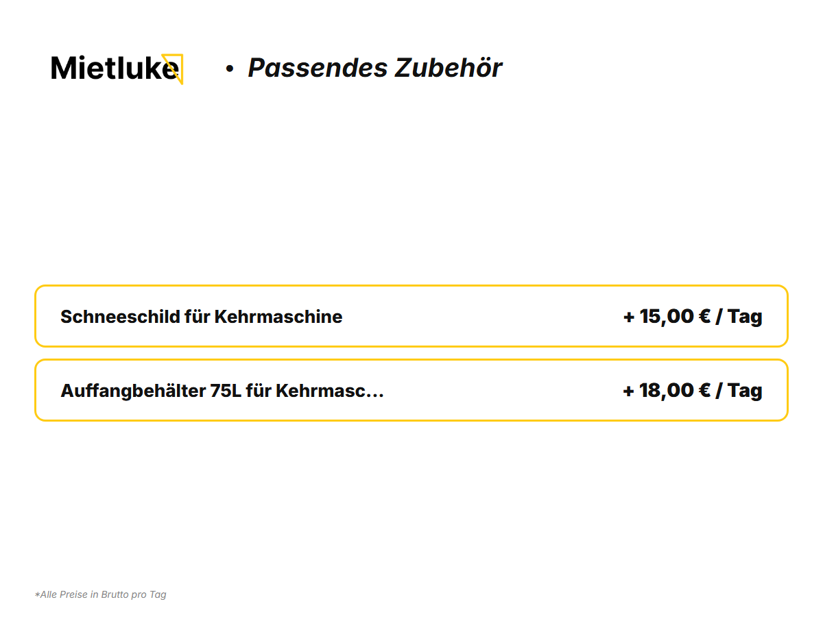 Benzin-Kehrmaschine 80 cm Profi mieten - ab 23 mieten in Berlin – 5