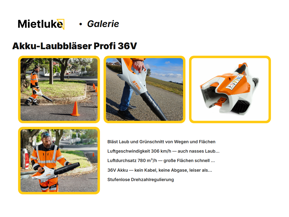 Akku-Laubbläser Profi 36V mieten - ab 9 mieten in Berlin – 3