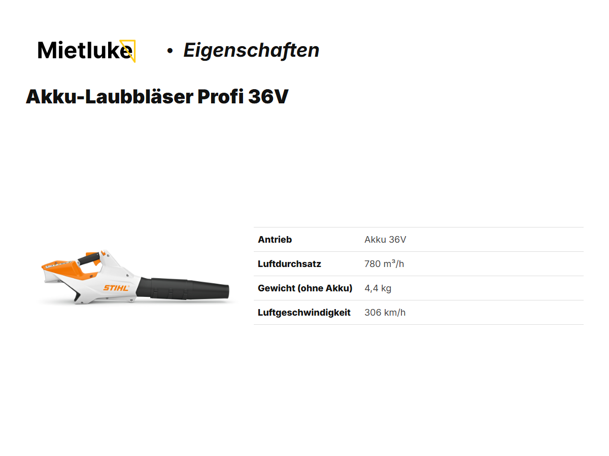 Akku-Laubbläser Profi 36V mieten - ab 9 mieten in Berlin – 2