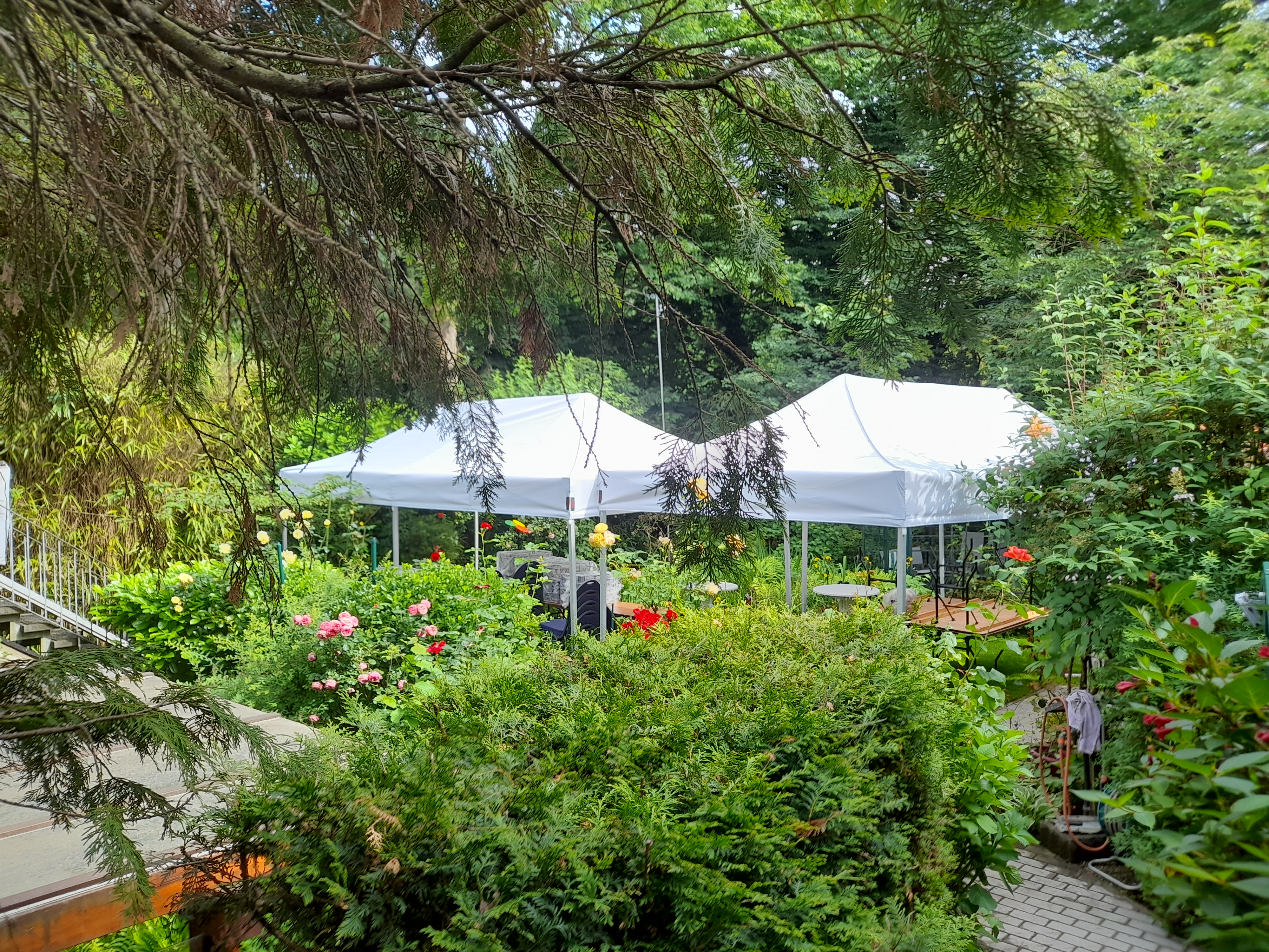 Pavillon - Schnellpauzelt - Faltpavillon mieten in Neuss – 4