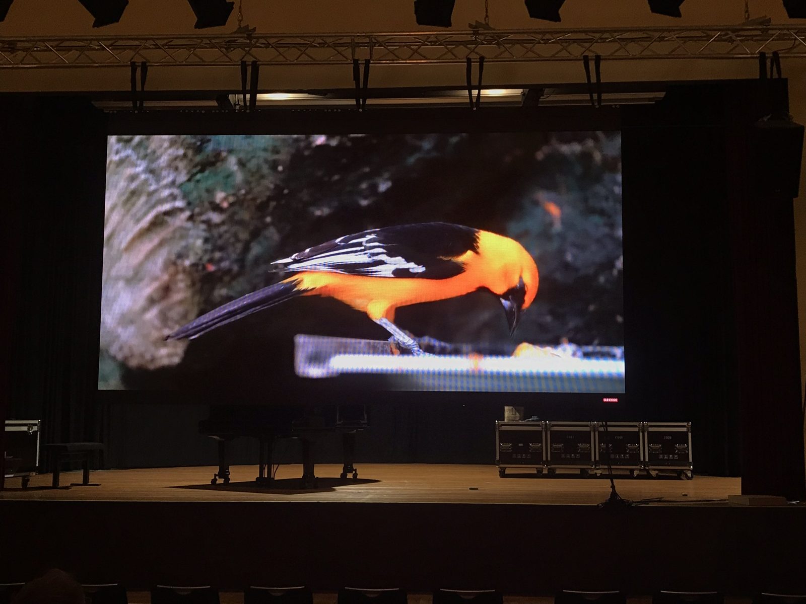 LEDWall 4 mieten in Dippoldiswalde – indoor & outdoor – 5