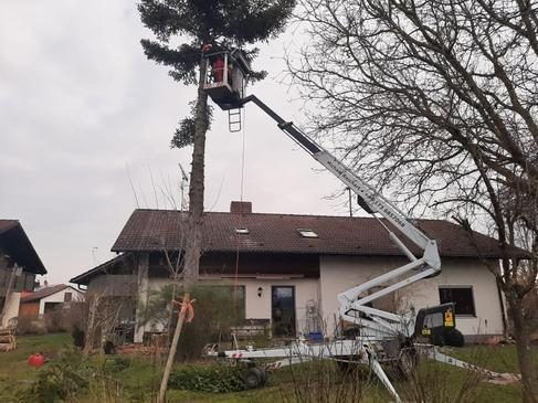 Dino 160XT Arbeitsbühne, Hubsteiger, Hubarbeitsbühne mieten in Dießen – 1,8m – 3