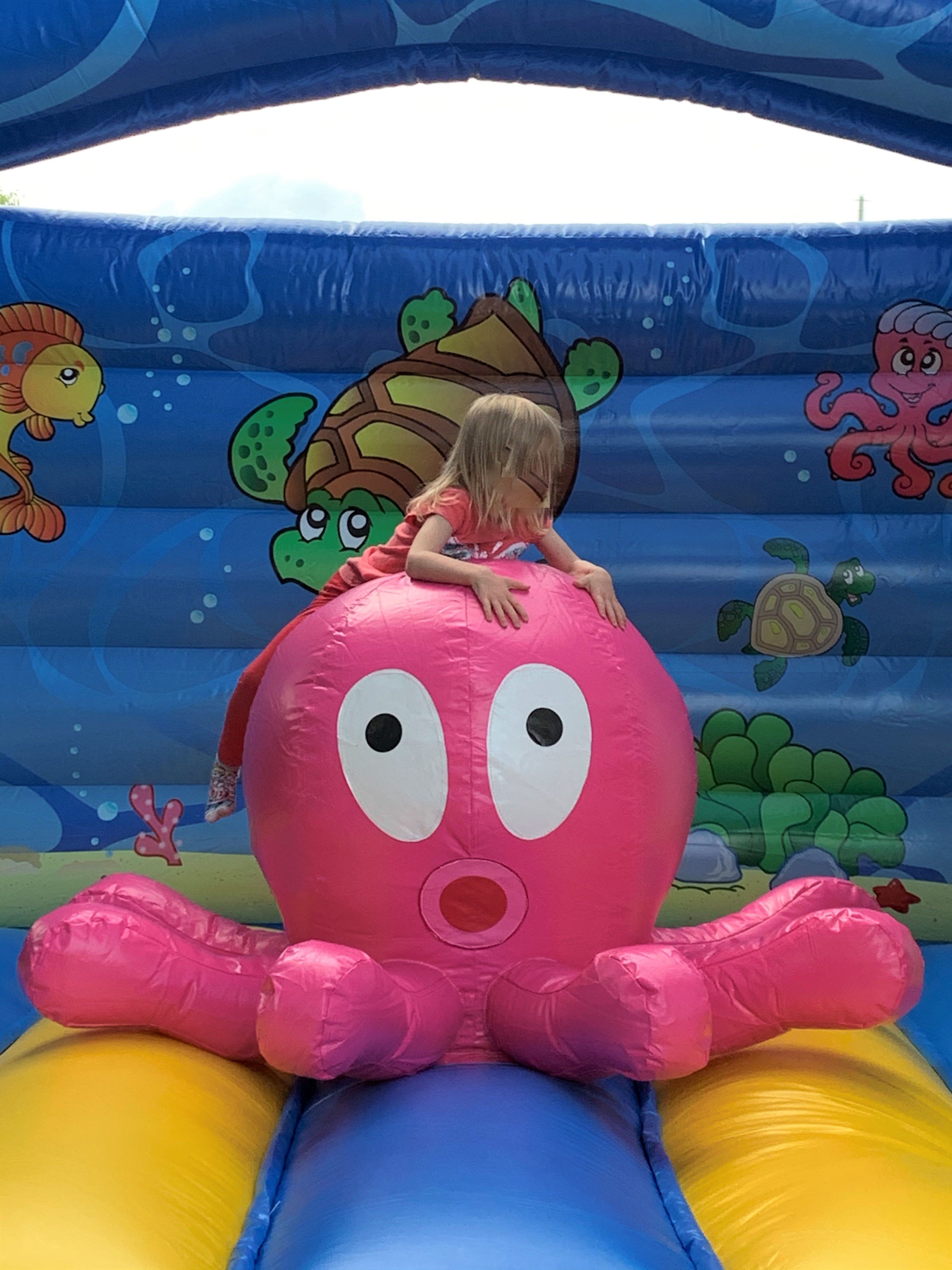 Hüpfburg Kapitän Nemo mieten in Michendorf – 4