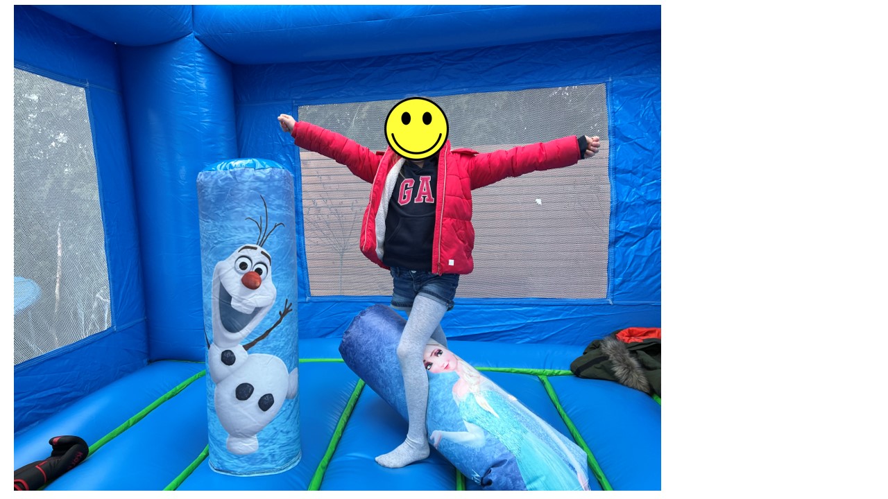 Hüpfburg Eiskönigin (Anna und Elsa) mieten in Michendorf – 3