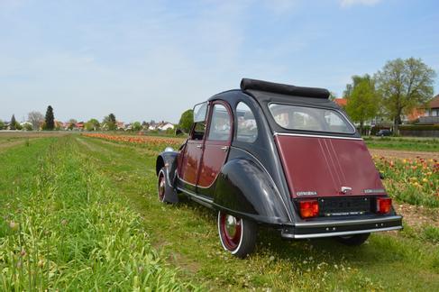 Citroen 2CV6 Charleston mieten / Ente mieten in Gilching – 1986 – 4