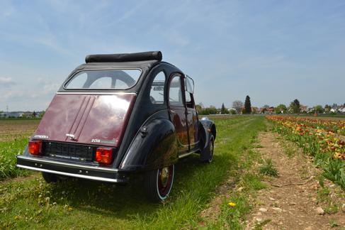 Citroen 2CV6 Charleston mieten / Ente mieten in Gilching – 1986 – 5