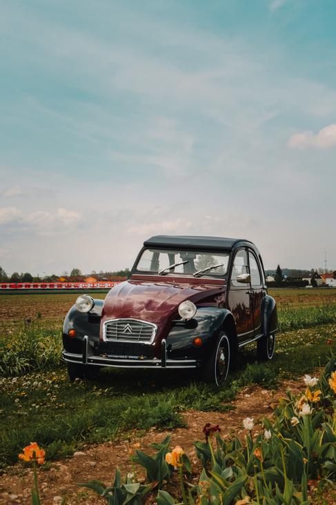 Citroen 2CV6 Charleston mieten / Ente mieten in Gilching – 1986 – 2