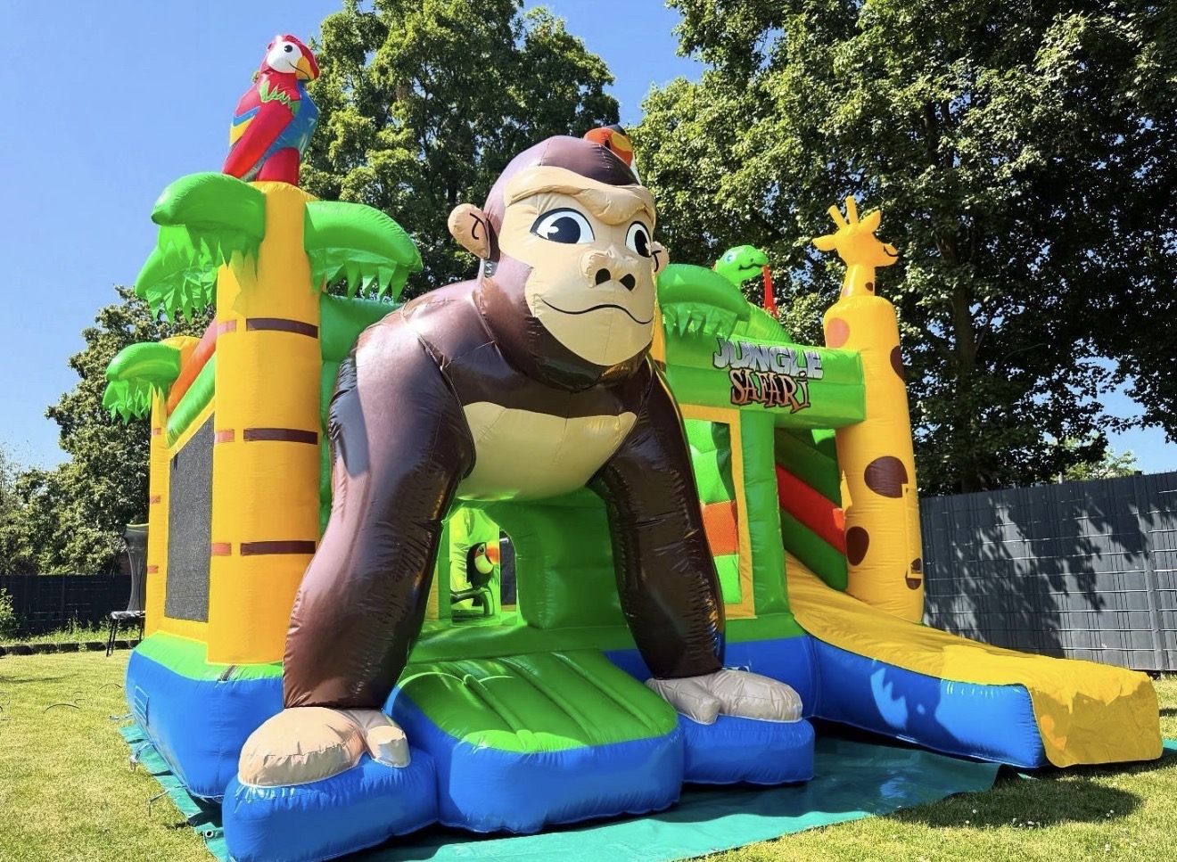Hüpfburg Multiplay Dschungel + Lieferung möglich mieten in Köln – Ohne Personal