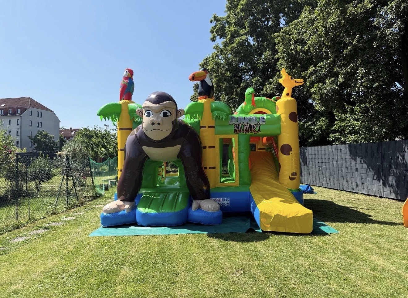 Hüpfburg Multiplay Dschungel + Lieferung möglich mieten in Köln – Ohne Personal – 2