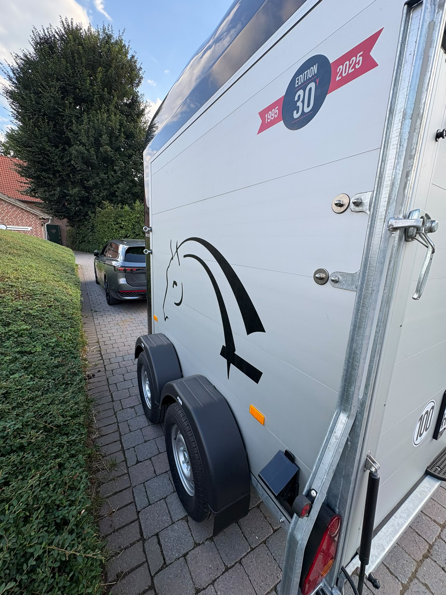 Pferdeanhänger mieten in Münster – Cheval mieten in Münster – Thumbnail 15