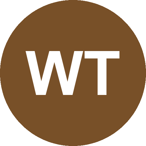W&S Technik GmbH Logo