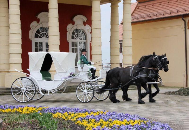 Exklusive Hochzeitskutschen für Mitteldeutschland mieten in Teicha – 2