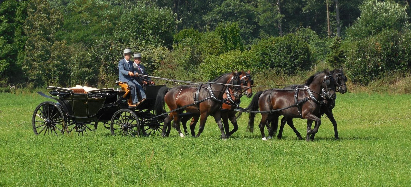 Die Kutschfahrt für alle Anlässe mieten in Dülmen – 2