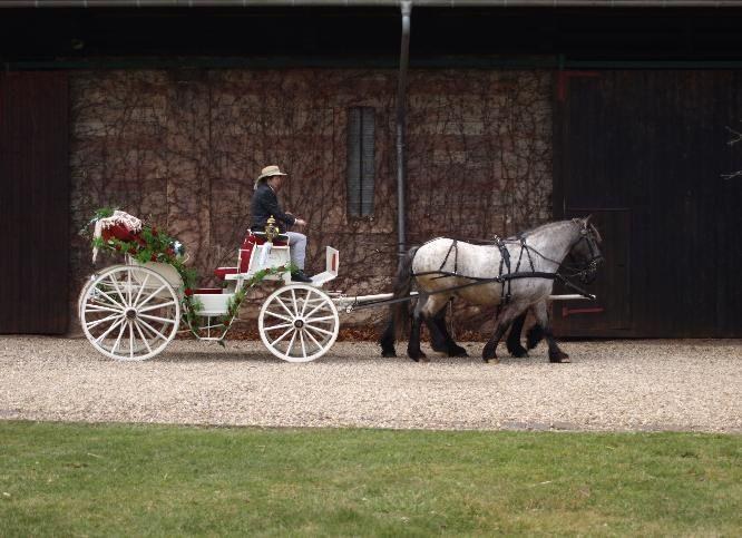 Romantische Hochzeitskutsche mieten in Heusweiler