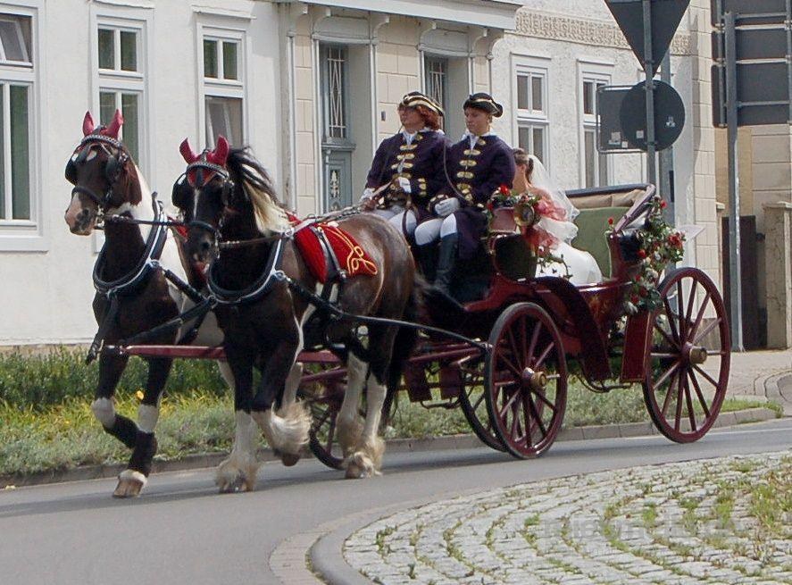 historische Hochzeitskutschen mieten in Nienstädt
