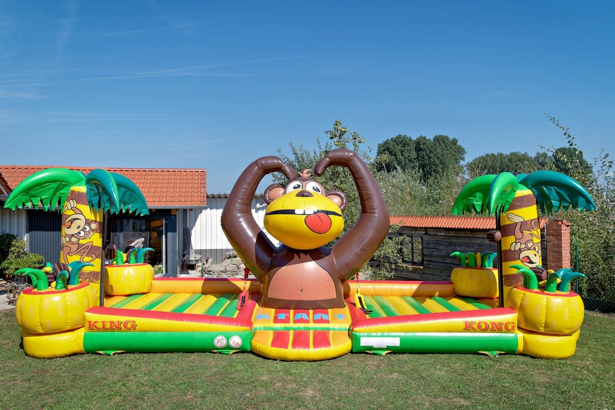 Hüpfburg King Kong mieten in Aholming