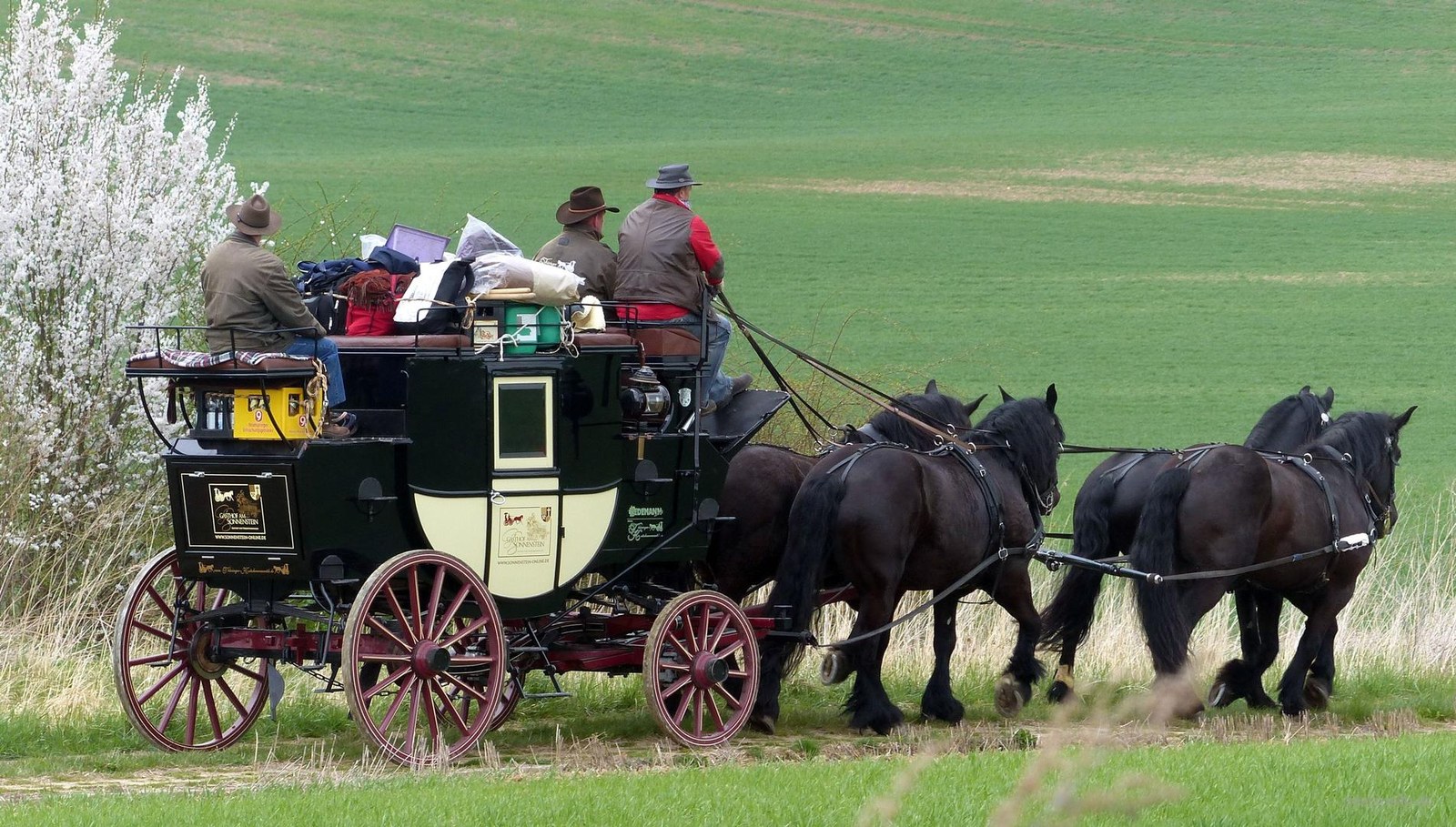 Kutschfahrt mit der Postkutsche mieten in Leinefelde-Worbis