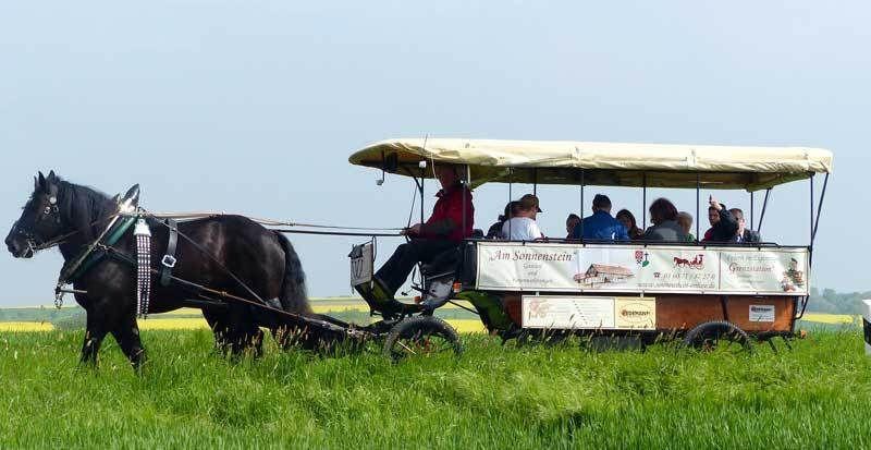 Planwagenfahrten im Eichsfeld mieten in Leinefelde-Worbis